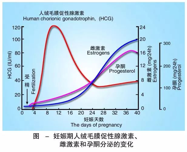 懷孕期間HCG低怎么辦？